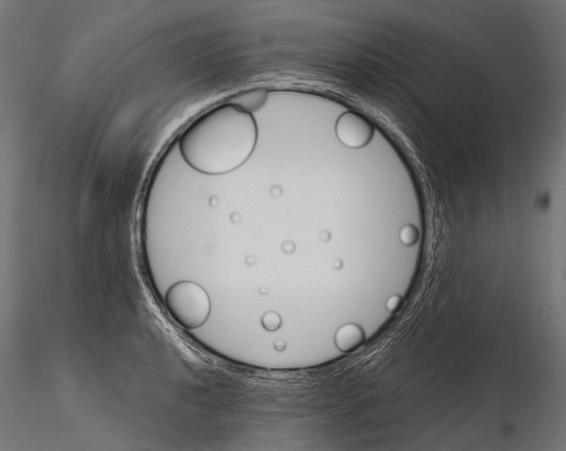 X0000116001040200912101312