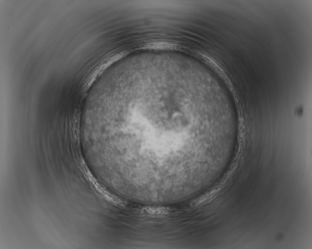 X0000116001041200912101312