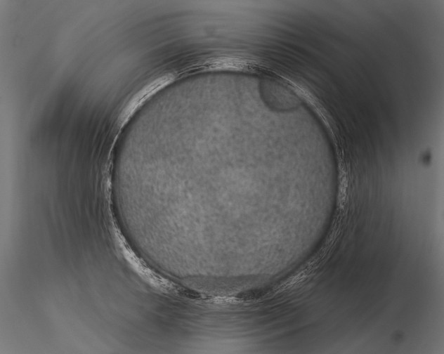 X0000116001042200912101312