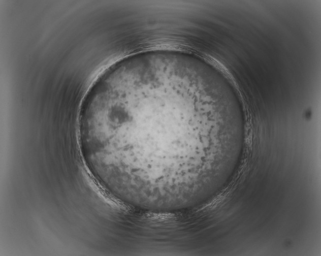 X0000116001043200912101312