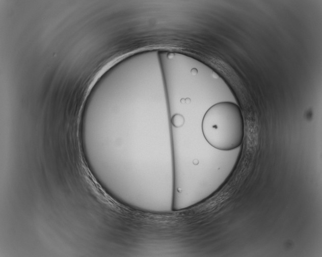 X0000116001044200912101312