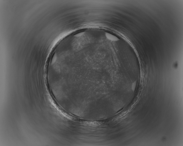 X0000116001045200912101312