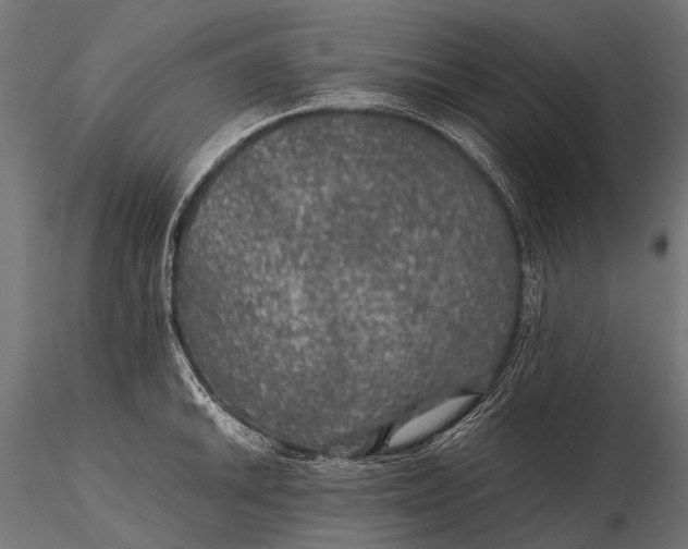 X0000116001046200912101312