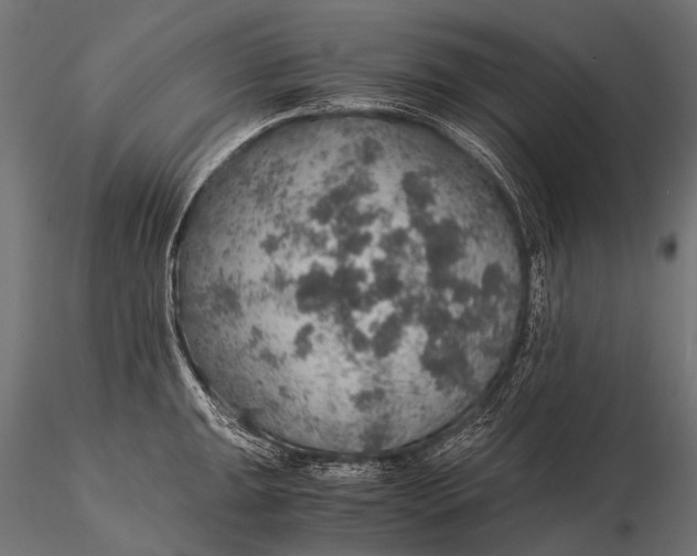 X0000116001047200912101312