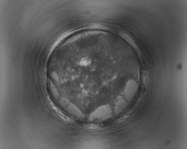 X0000116001048200912101312