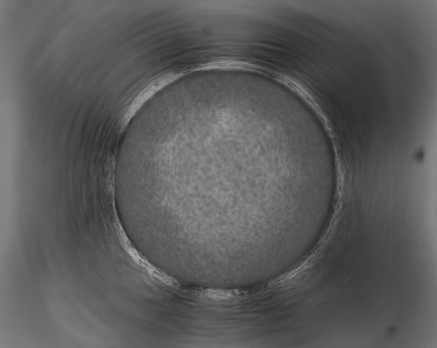 X0000116001049200912101312