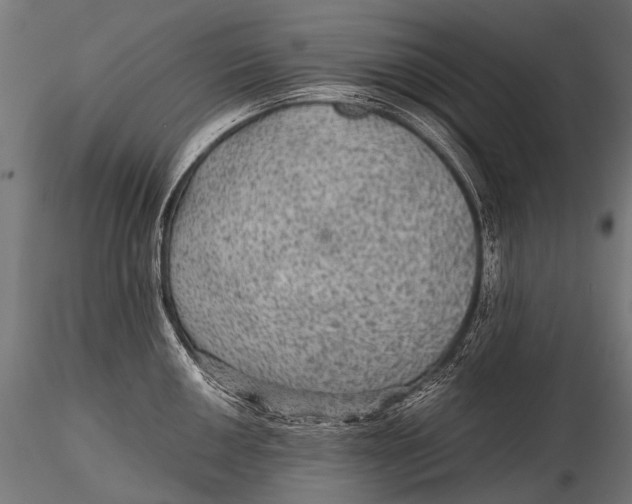 X0000116001050200912101312