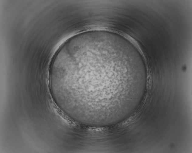 X0000116001051200912101312