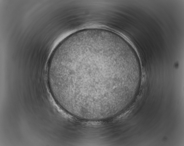 X0000116001053200912101312