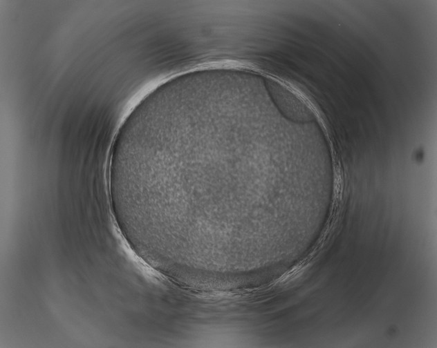 X0000116001054200912101312