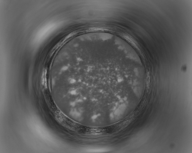 X0000116001055200912101312