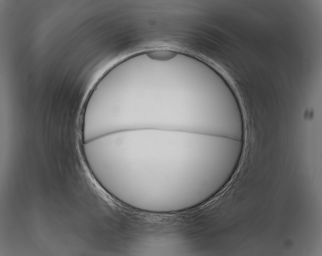 X0000116001056200912101312