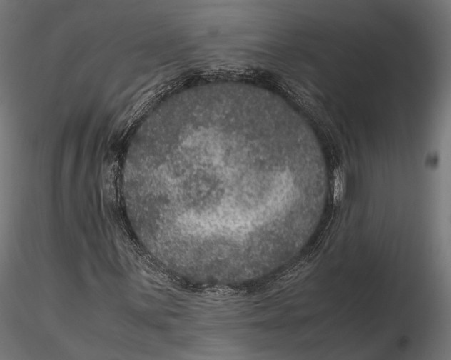 X0000116001059200912101311