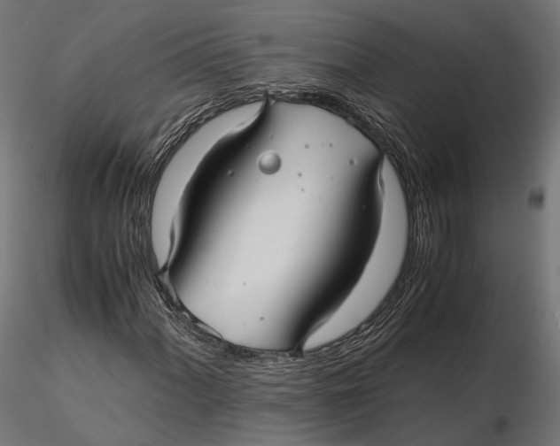 X0000116001060200912101311