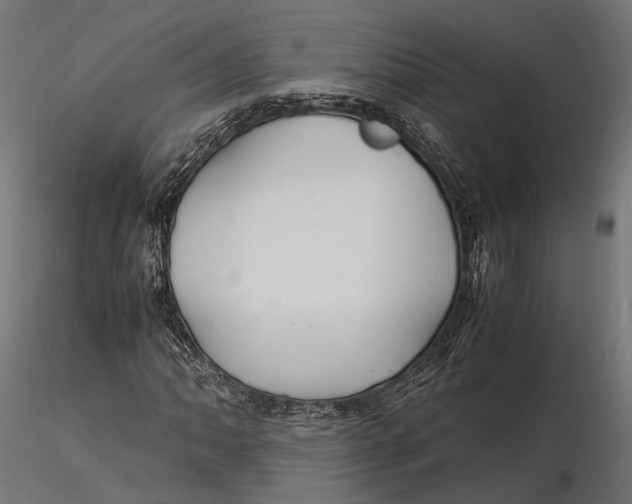 X0000116001062200912101311