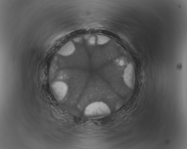 X0000116001063200912101311