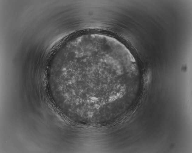 X0000116001064200912101311