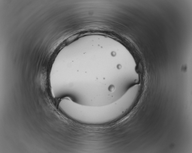 X0000116001065200912101311