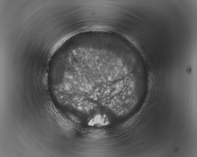 X0000116001066200912101311