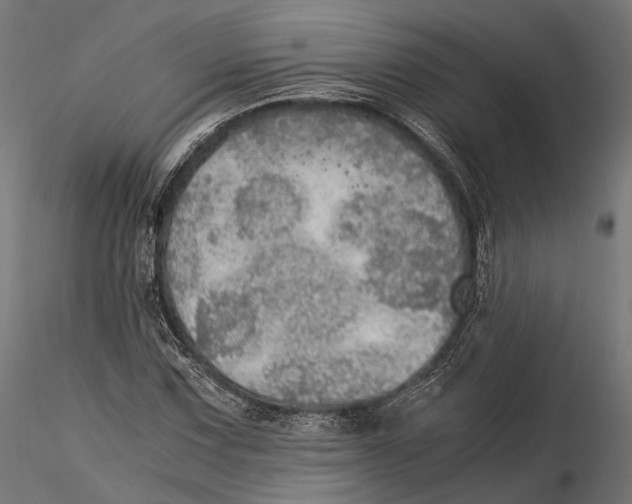 X0000116001067200912101311