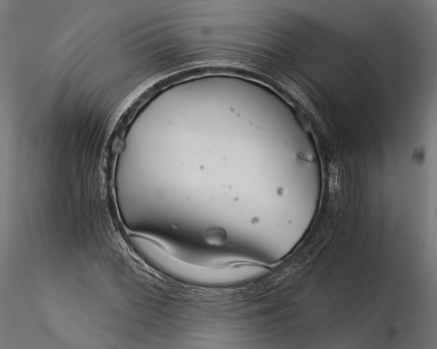 X0000116001068200912101311