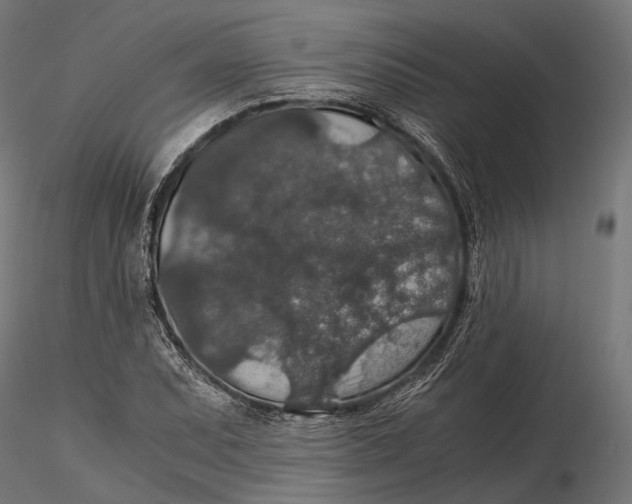 X0000116001071200912101311