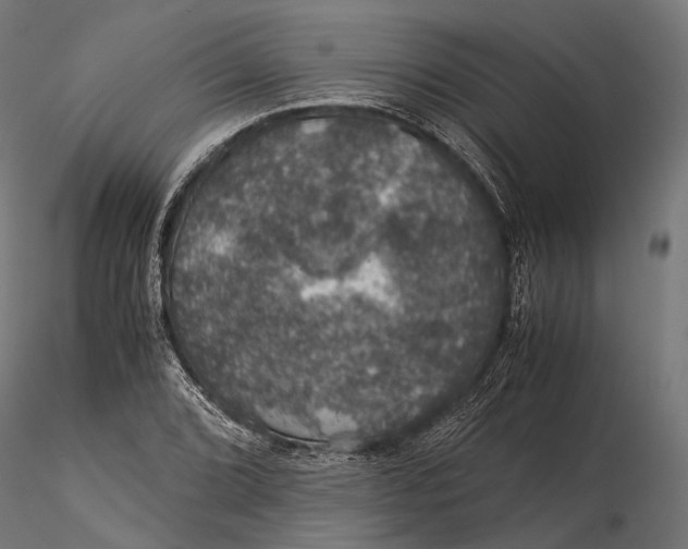 X0000116001072200912101311