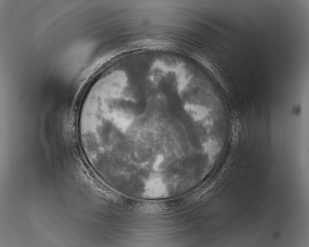 X0000116001074200912101311