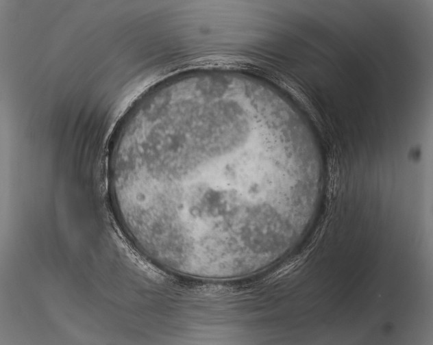 X0000116001075200912101311