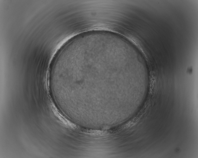 X0000116001076200912101311