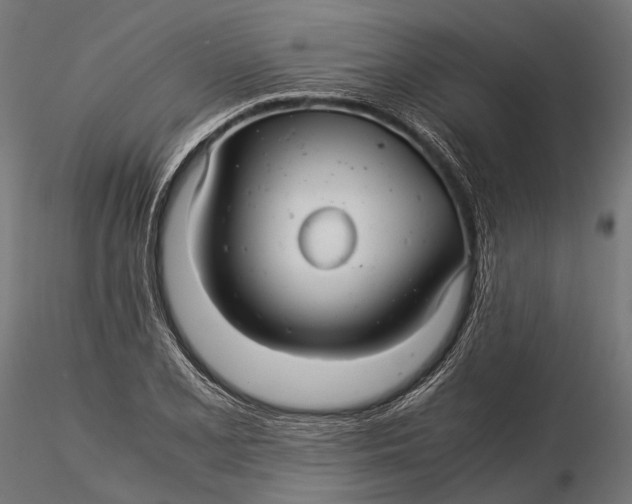 X0000116001077200912101311