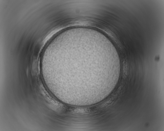 X0000116001078200912101311