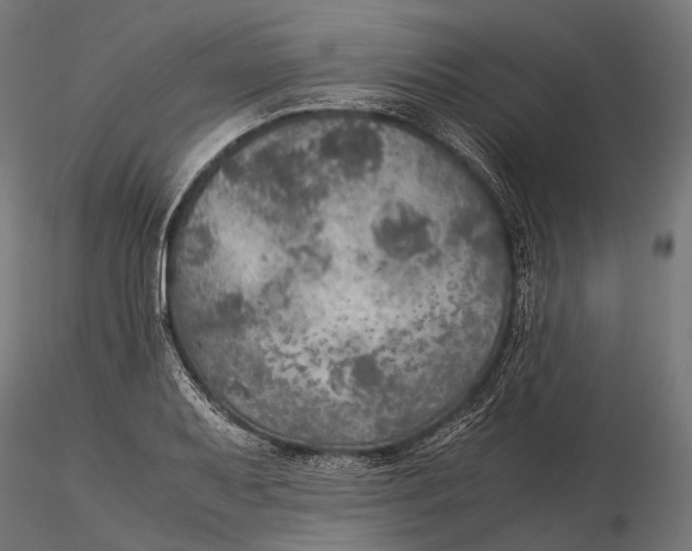 X0000116001079200912101311