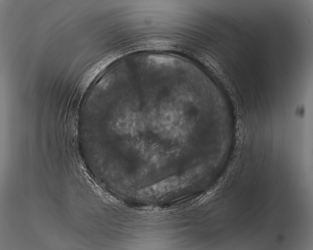 X0000116001081200912101311