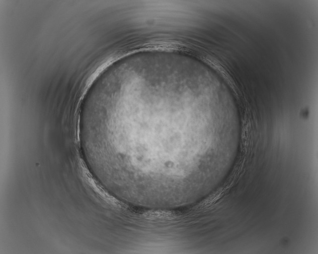 X0000116001083200912101311