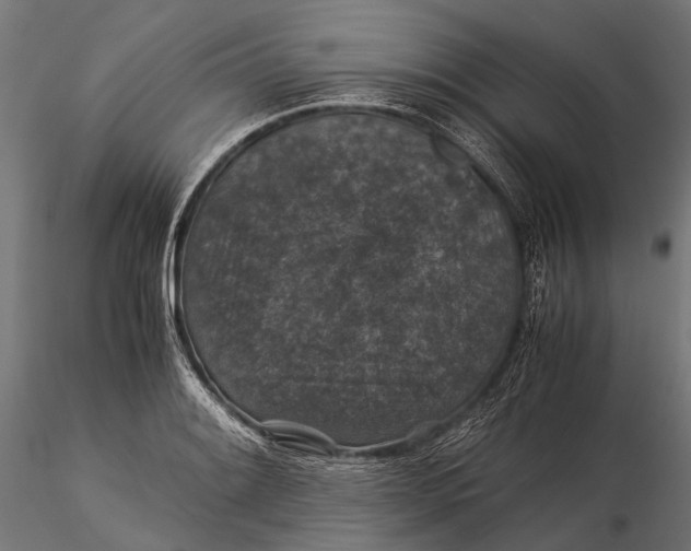 X0000116001084200912101311