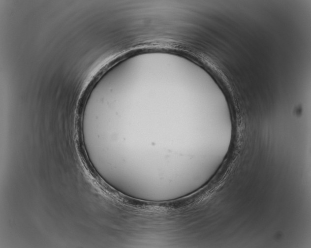 X0000116001085200912101311