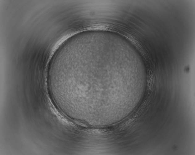 X0000116001086200912101311