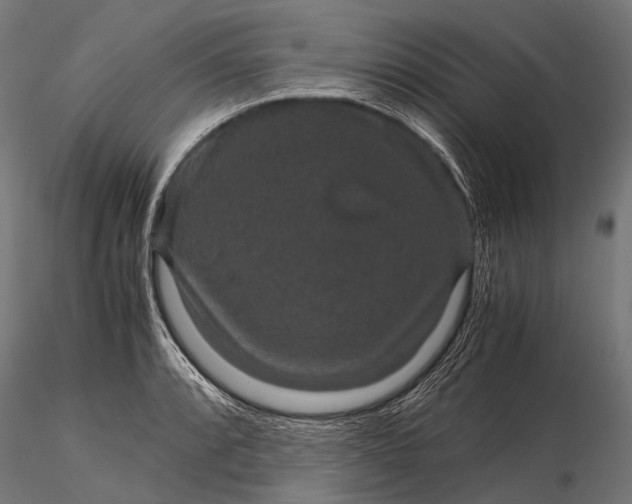 X0000116001088200912101311