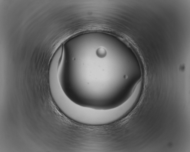 X0000116001089200912101311