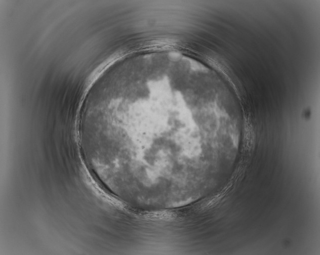 X0000116001090200912101311