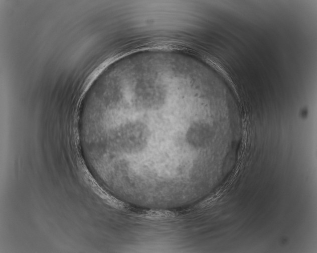 X0000116001091200912101311