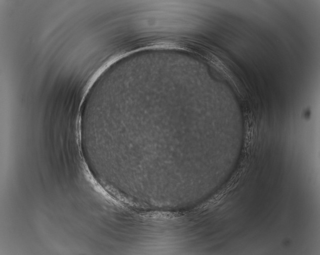 X0000116001092200912101311