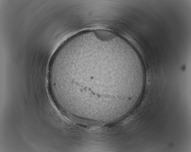 X0000116001093200912101311