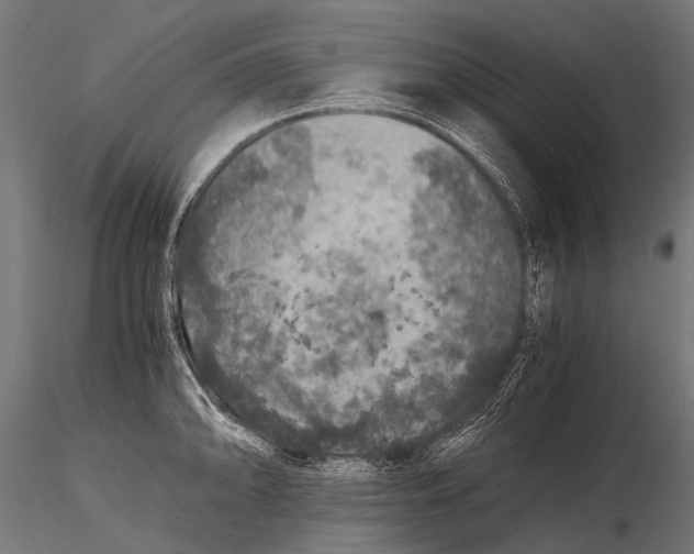 X0000116001094200912101311