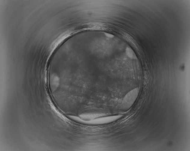 X0000116001095200912101311