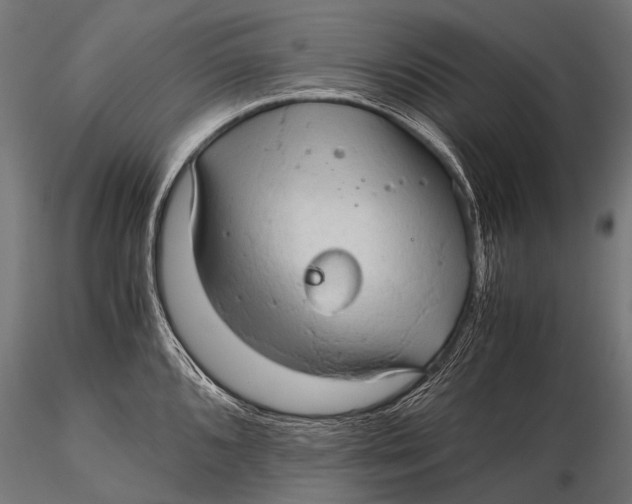 X0000116001096200912101311