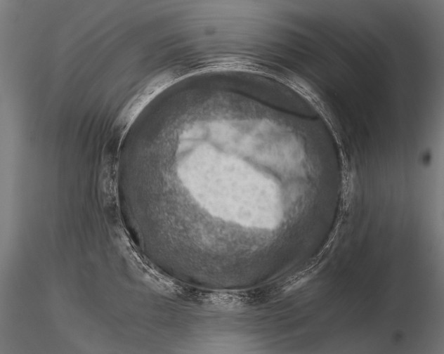 X0000116001097200912101311