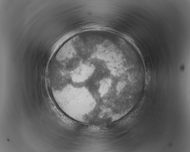 X0000116001098200912101311