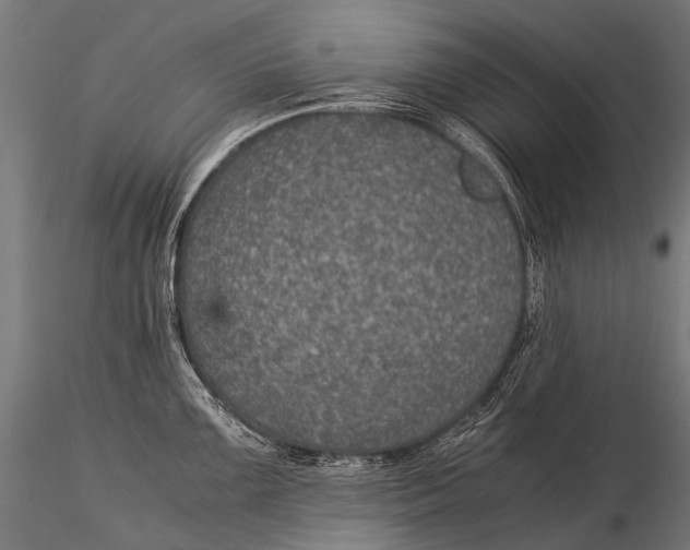 X0000116001099200912101311